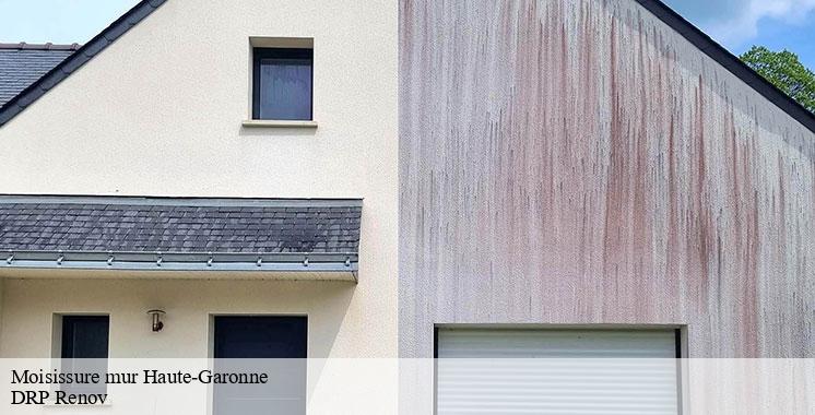 moisissure-mur