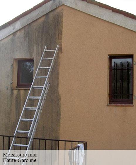 moisissure-mur