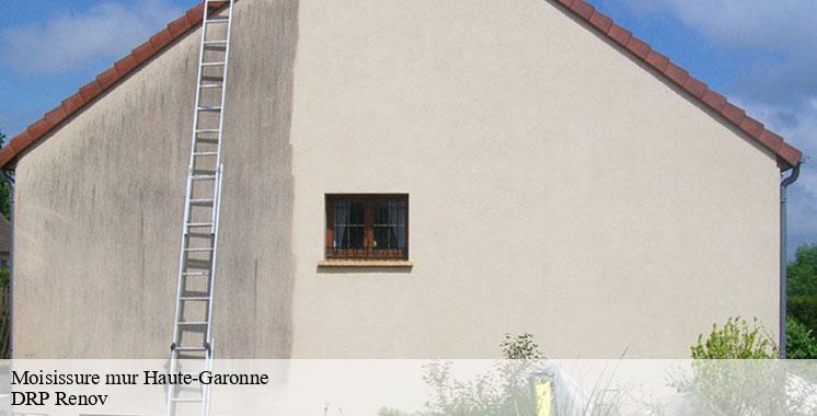 moisissure-mur