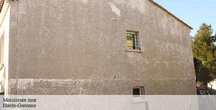 moisissure-mur