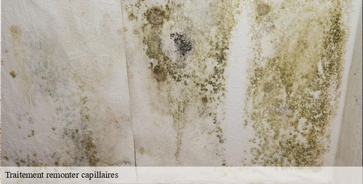 traitement-remonter-capillaires