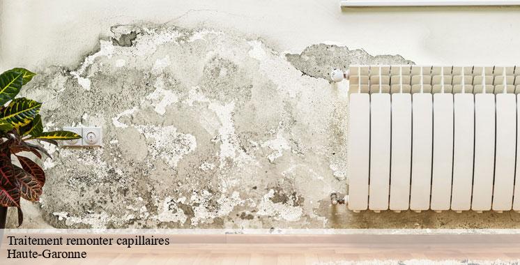 traitement-remonter-capillaires