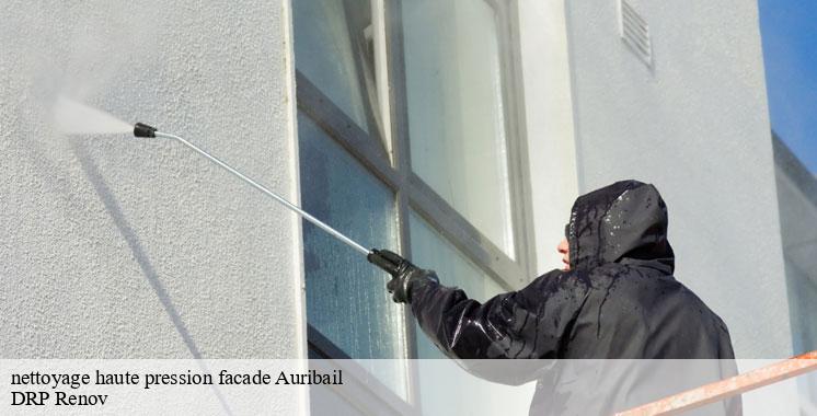 nettoyage-haute-pression-facade