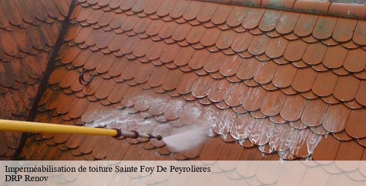impermeabilisation-de-toiture