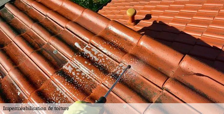 impermeabilisation-de-toiture