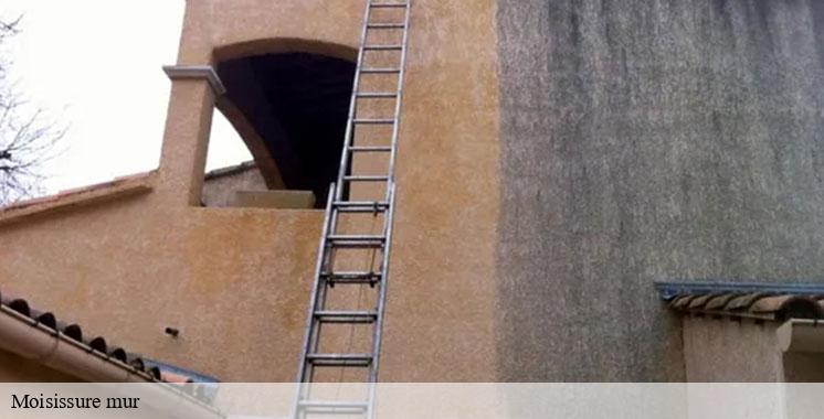 moisissure-mur
