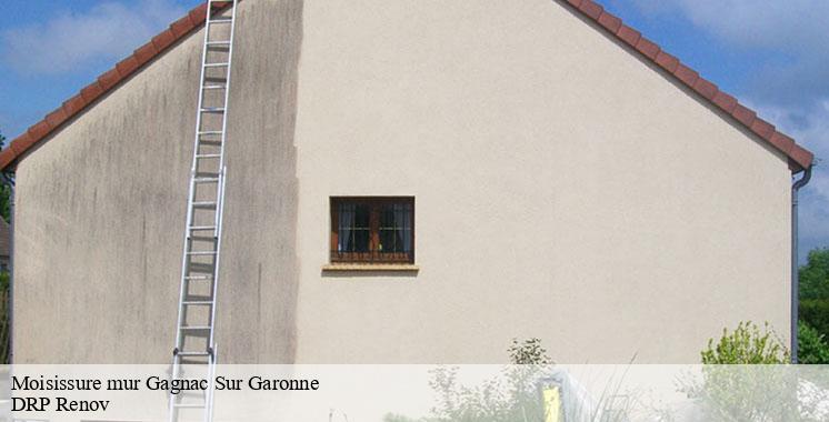 moisissure-mur