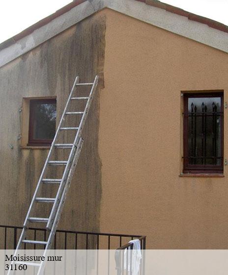 moisissure-mur
