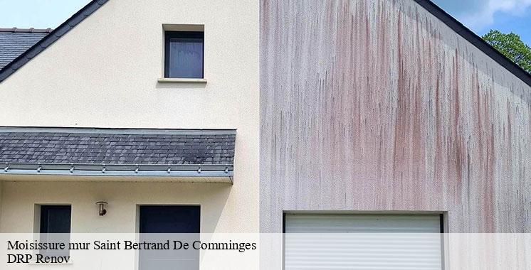moisissure-mur
