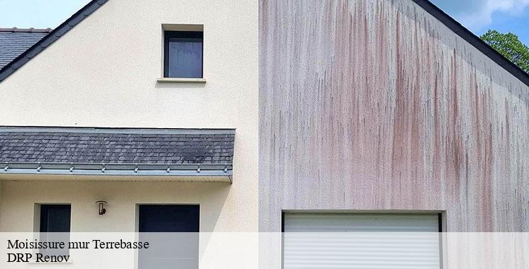 moisissure-mur