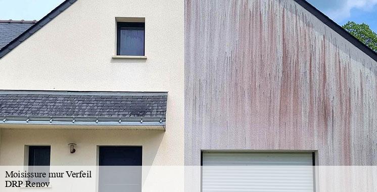 moisissure-mur