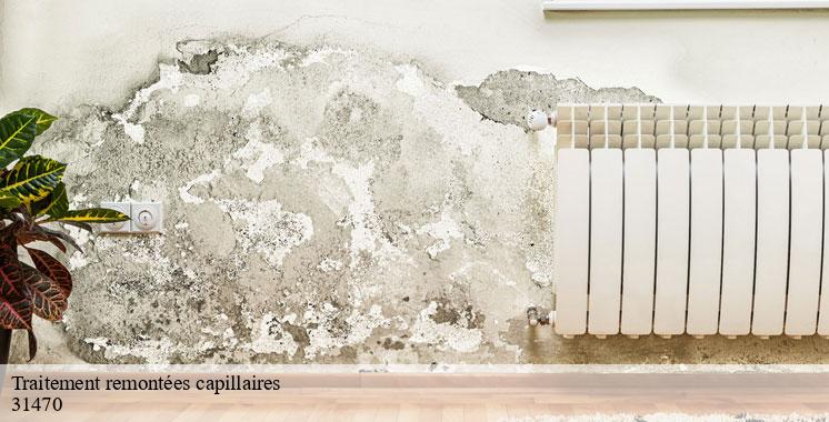traitement-remontees-capillaires