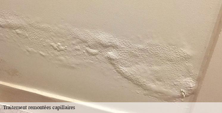 traitement-remontees-capillaires