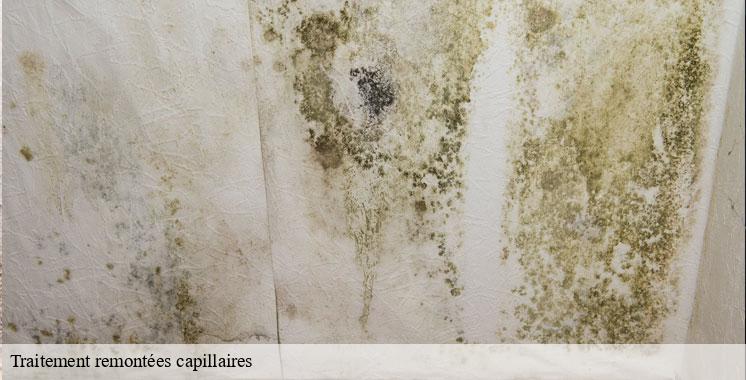 traitement-remontees-capillaires