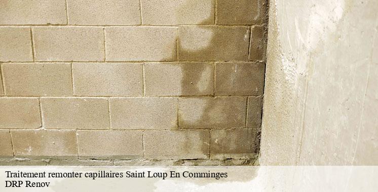 traitement-remonter-capillaires