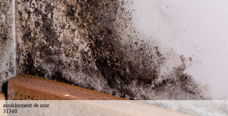 assechement-de-mur