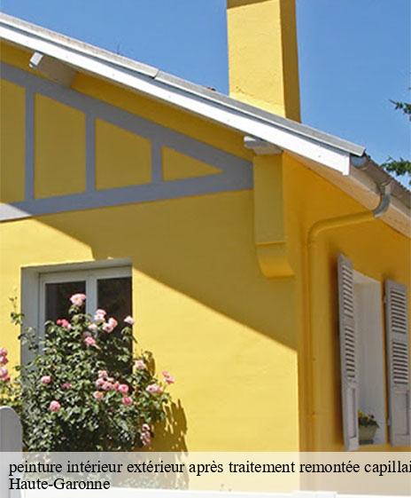 peinture-interieur-exterieur-apres-traitement-remontee-capillaire